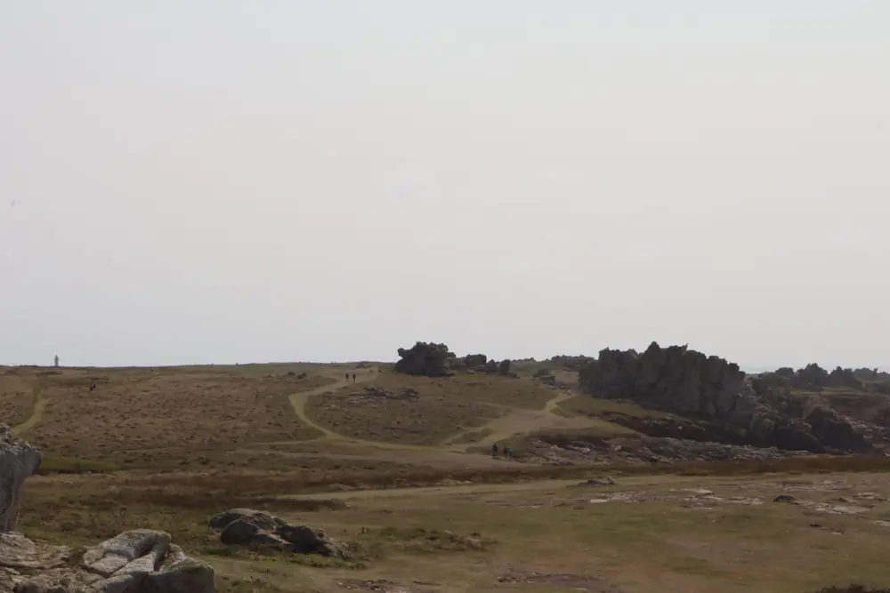 Lande bretonne, un chemin file vers l'horizon.